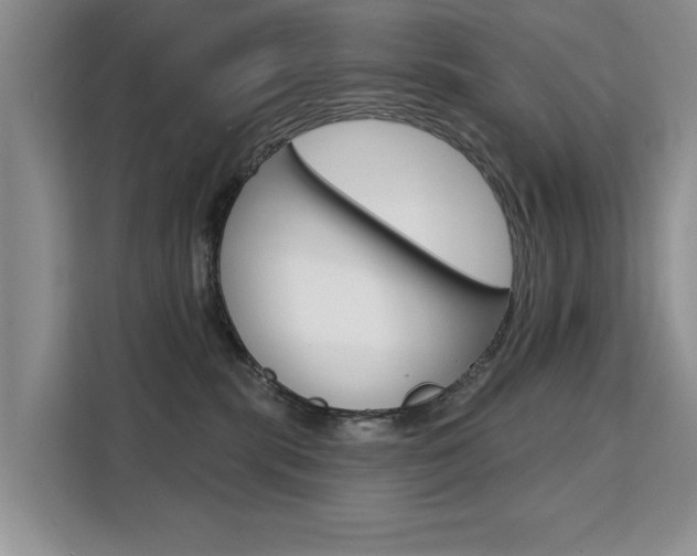 X0000111520283200907141242