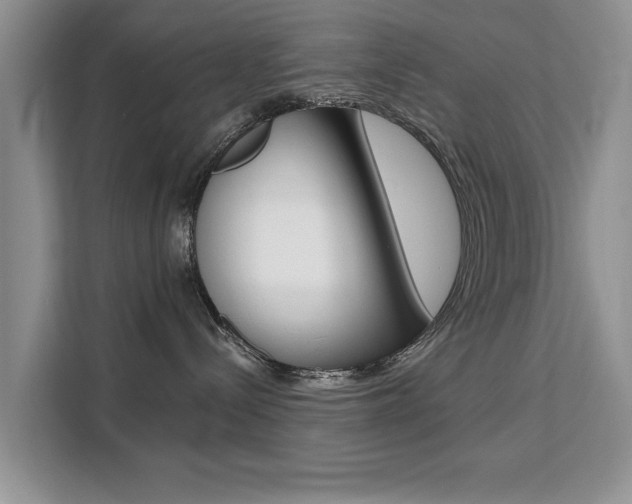 X0000111520288200907141242