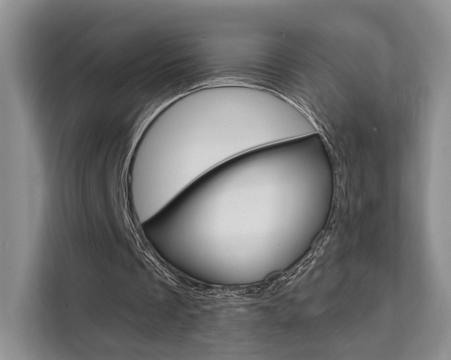 X0000111520289200907141242