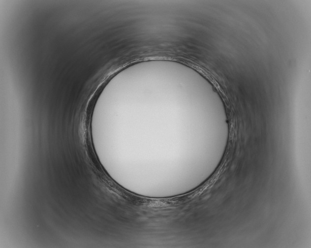 X0000111520290200907141242
