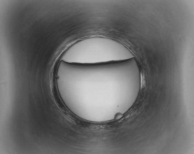 X0000111520291200907141242