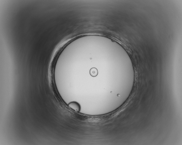 X0000111520294200907141242
