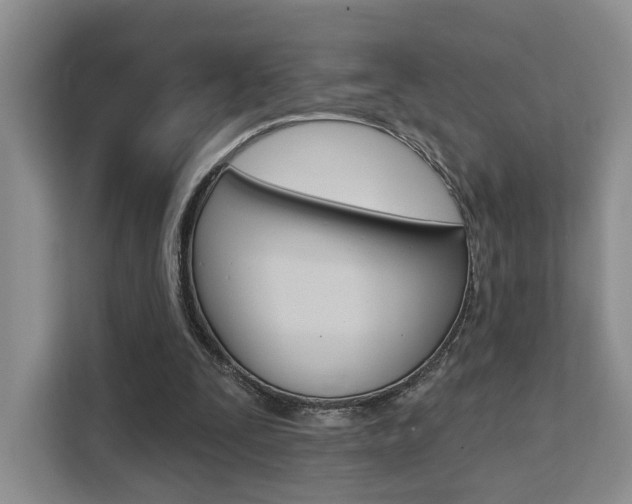 X0000111520295200907141242