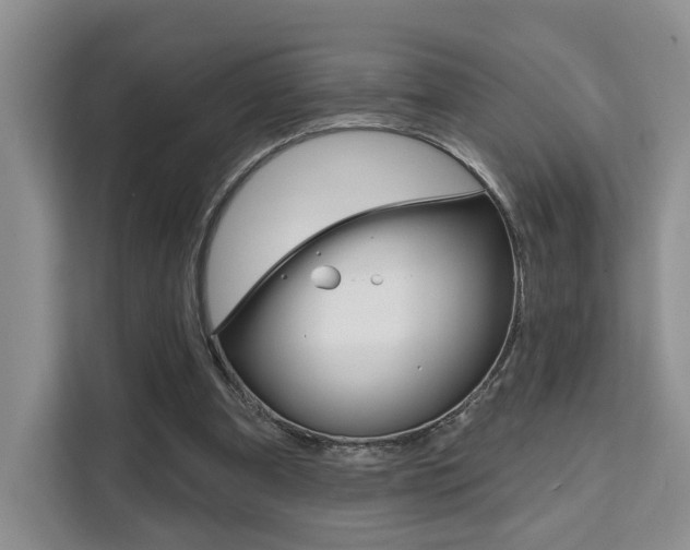 X0000111520297200907141242