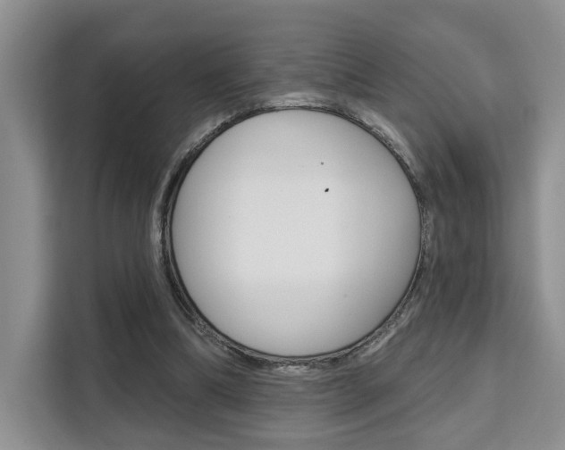 X0000111520298200907141242