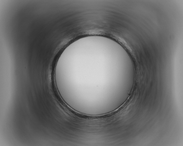 X0000111520299200907141242