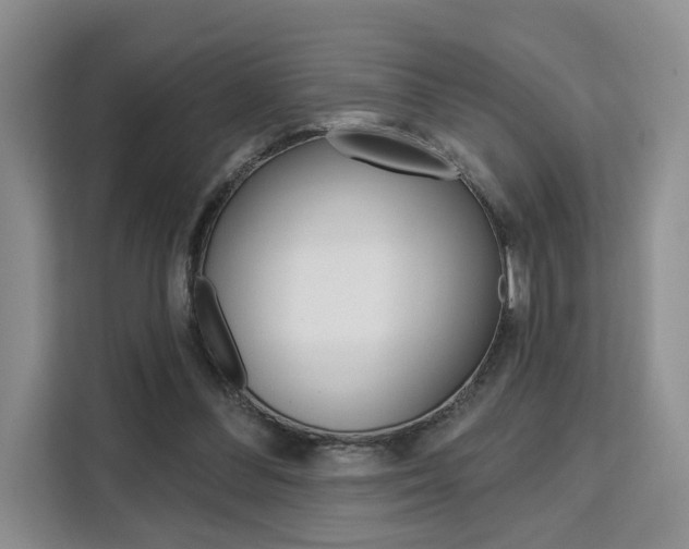 X0000111520300200907141242