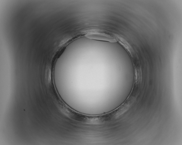 X0000111520301200907141242