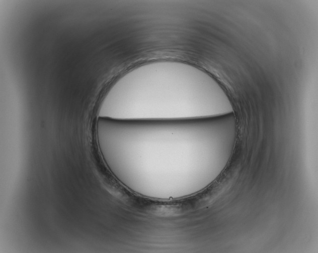 X0000111520303200907141242