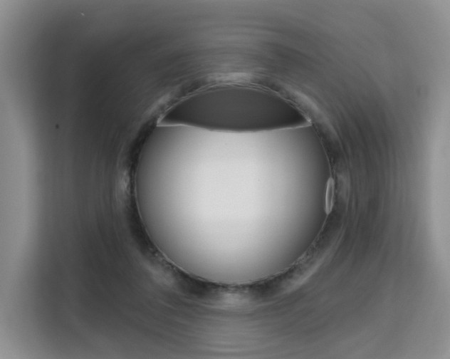 X0000111520308200907141242
