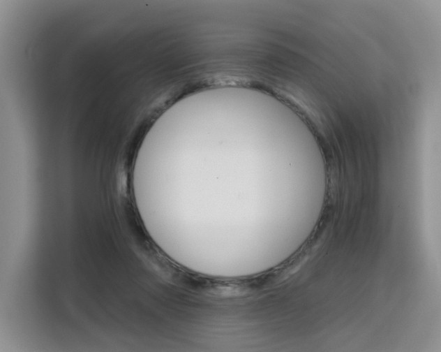 X0000111520310200907141242