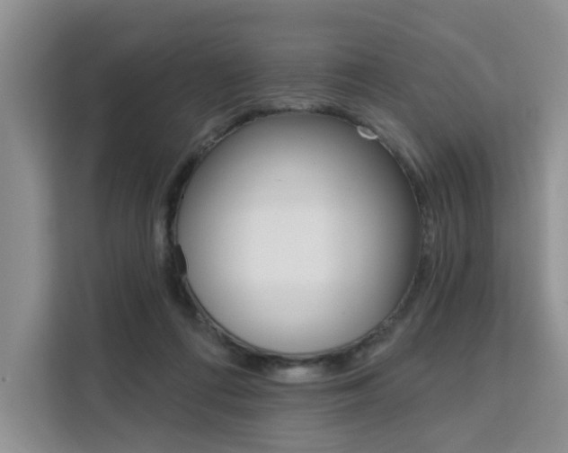 X0000111520312200907141241