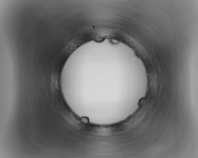 X0000111520313200907141241