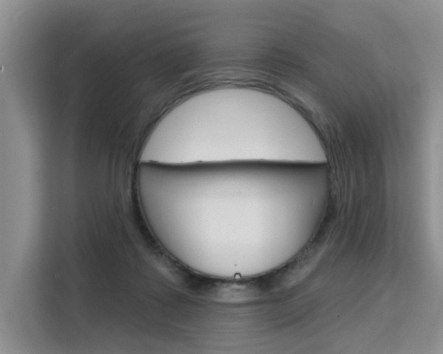 X0000111520315200907141241