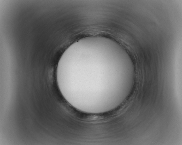 X0000111520319200907141241
