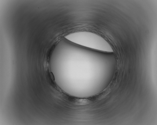 X0000111520324200907141241
