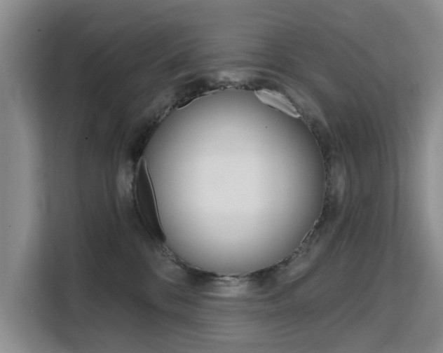 X0000111520328200907141241