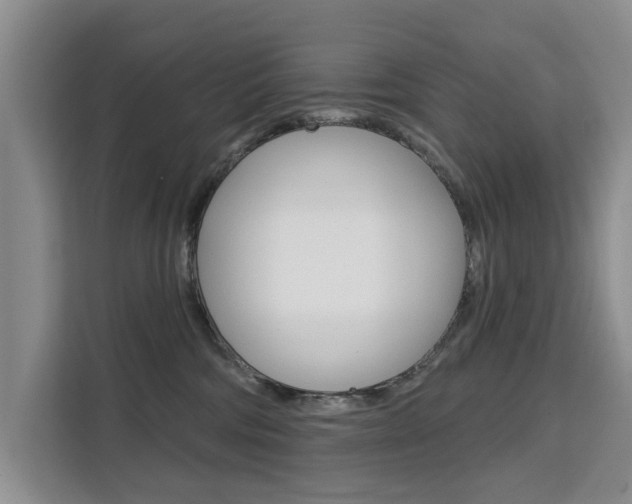 X0000111520330200907141241