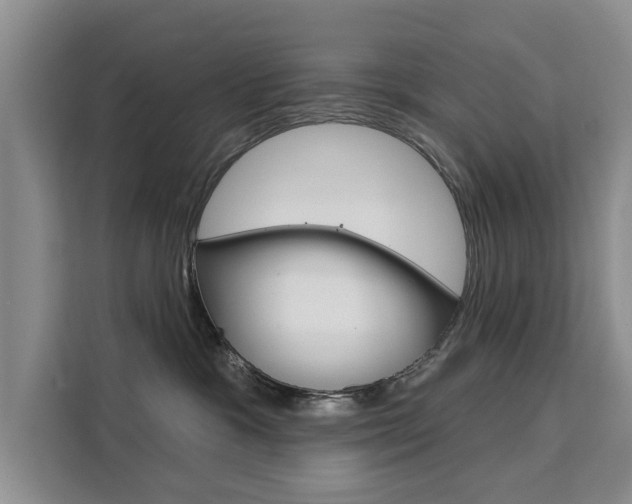 X0000111520333200907141241