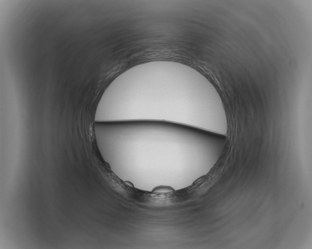 X0000111520335200907141241
