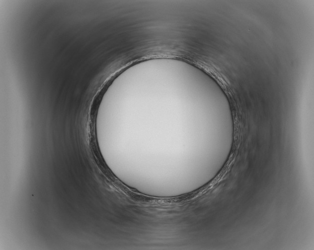 X0000111520338200907141241
