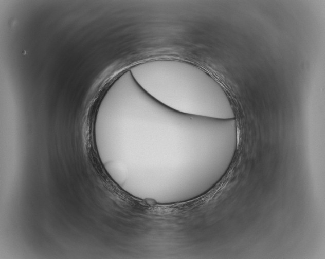 X0000111520339200907141241