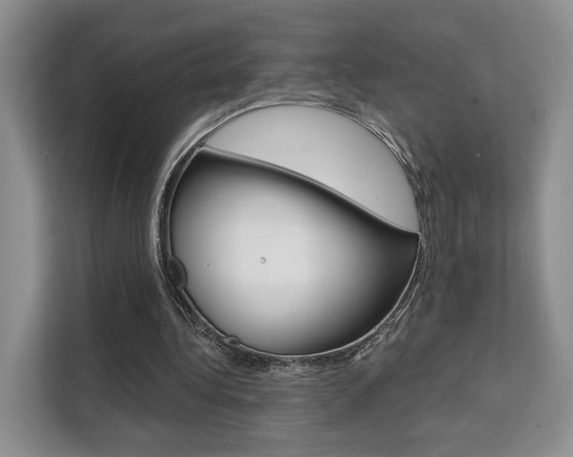 X0000111520340200907141241