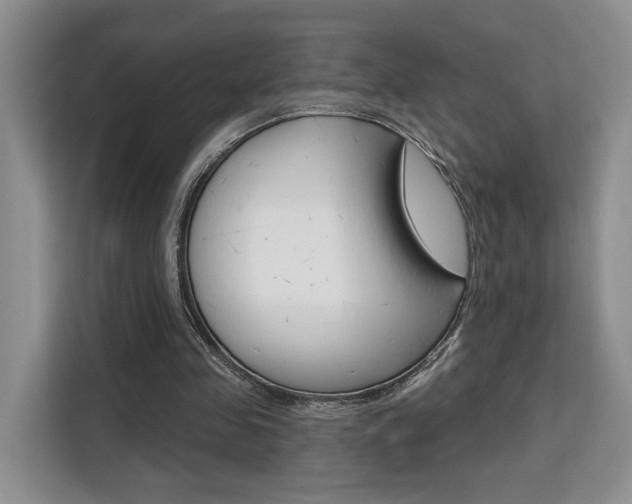 X0000111520341200907141241