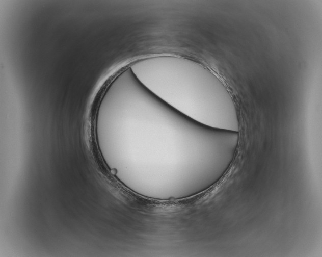 X0000111520342200907141241