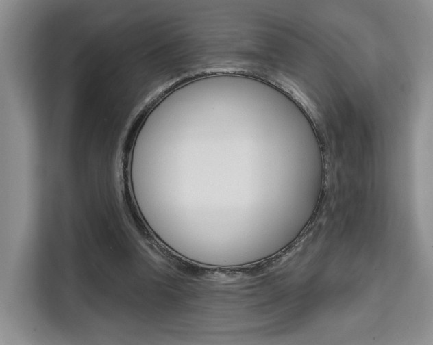 X0000111520346200907141241
