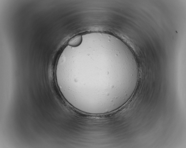 X0000111520347200907141241
