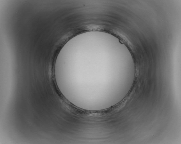 X0000111520353200907141241