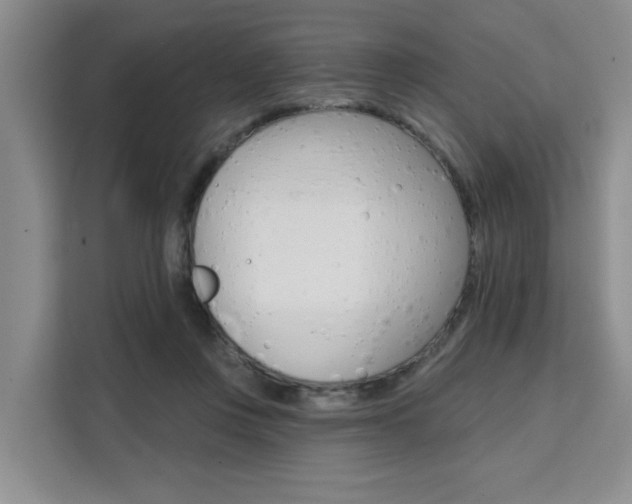 X0000111520359200907141241