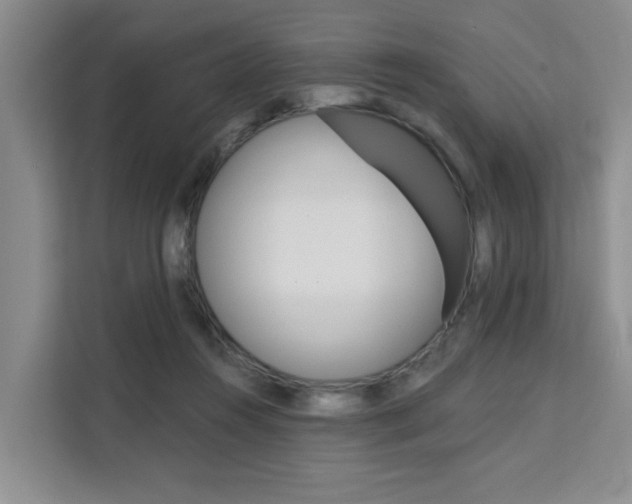 X0000111520360200907141241
