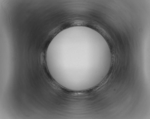 X0000111520361200907141241