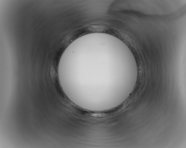 X0000111520371200907141241