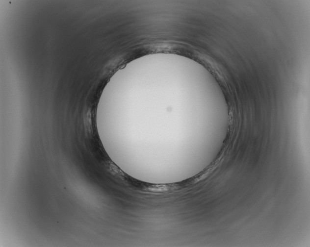 X0000111520381200907141241