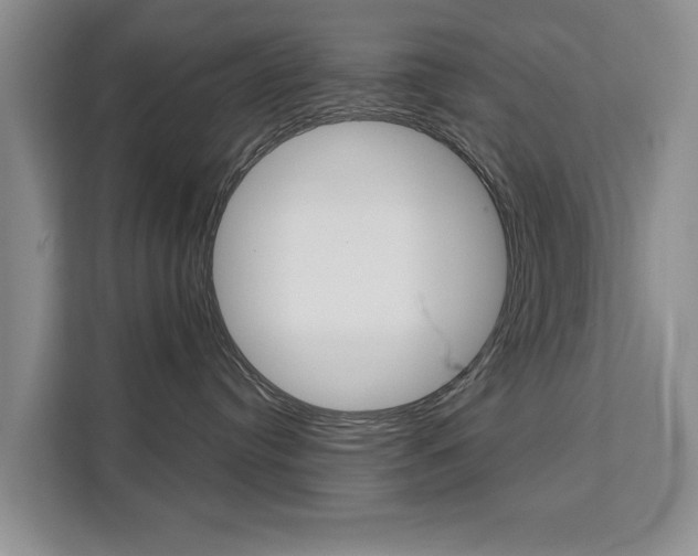 X0000111520384200907141241