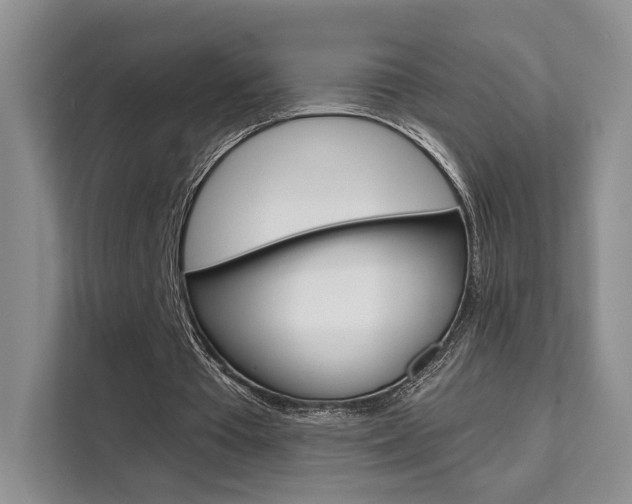 X0000111520385200907141241