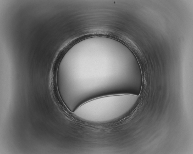 X0000111520388200907141241