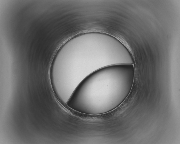 X0000111520389200907141240