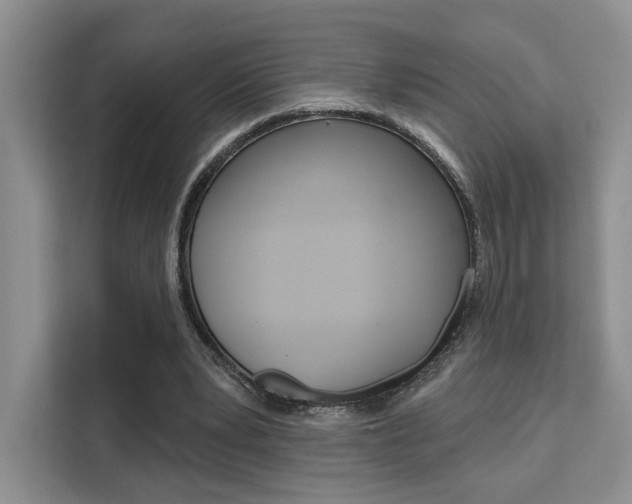 X0000111520391200907141240