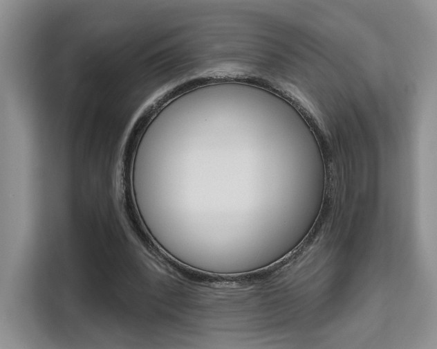 X0000111520392200907141240