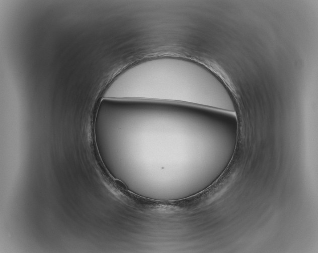 X0000111520393200907141240