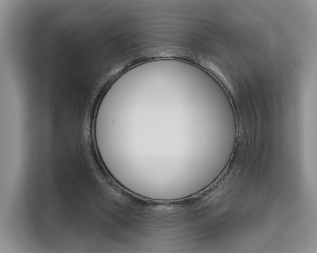 X0000111520394200907141240