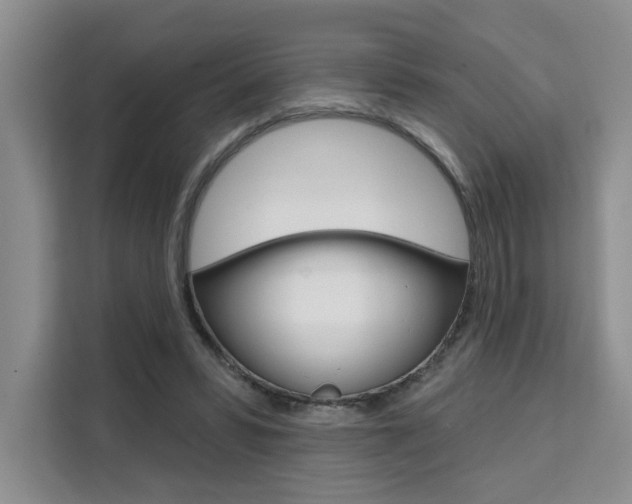 X0000111520399200907141240