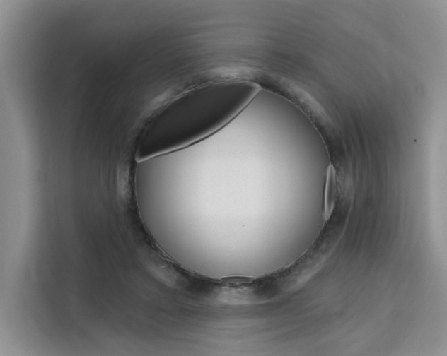 X0000111520403200907141240