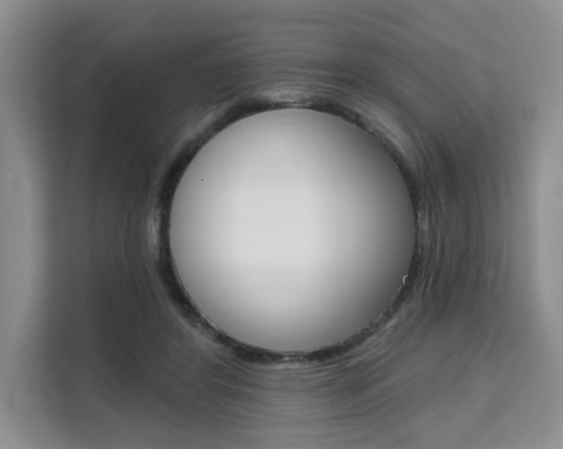 X0000111520404200907141240