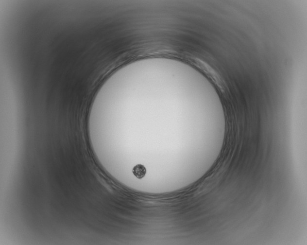 X0000111520405200907141240
