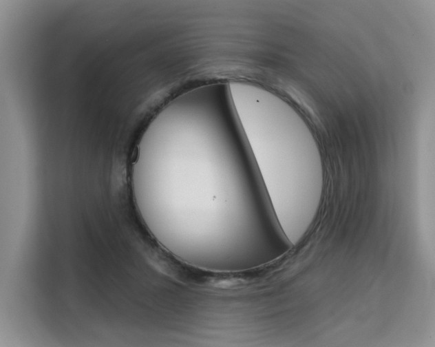X0000111520407200907141240